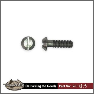 21-1873 Screw
