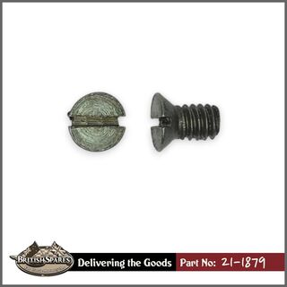 21-1879 Screw