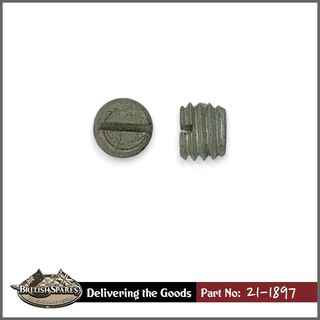21-1898 Plug