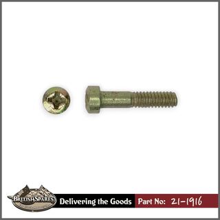 21-1916 Screw