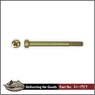 21-1917 Screw