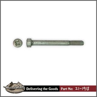 21-1918 Screw