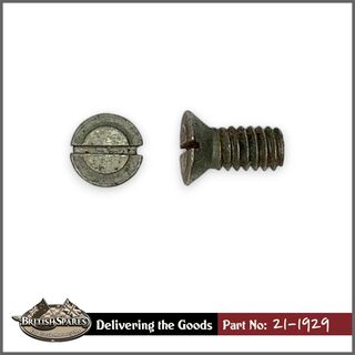 21-1929 Screw