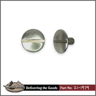 21-1979 Screw
