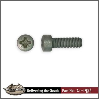 21-1986 Screw