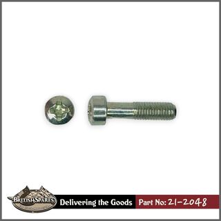 21-2048 Pivot Screw