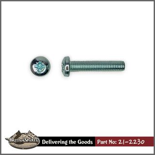 21-2230 Screw
