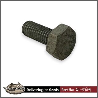 21-5619 Bolt