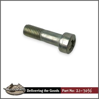 21-7036 Screw