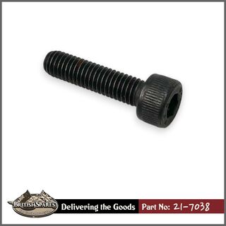 21-7038 Screw