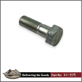 21-7119 Bolt