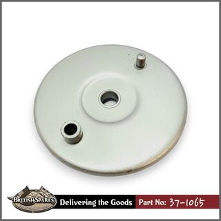 37-1065 Brake Plate