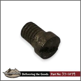 37-1079 Lock Screw