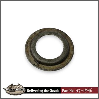 37-1596 Dust Cap