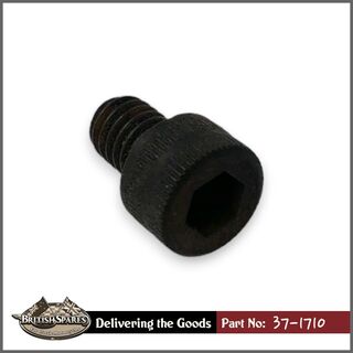 37-1710 Screw