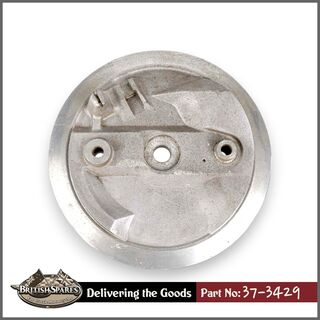 37-3429 Brake Plate