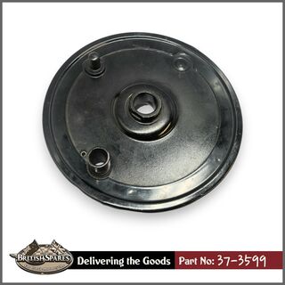 37-3599 Brake Plate