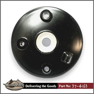 37-4163 Brake Plate
