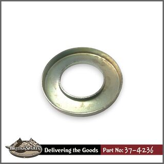 37-4236 Dust Cap