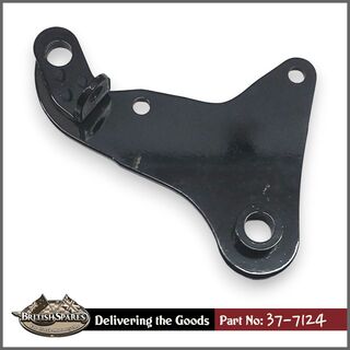 37-7124 Caliper Plate