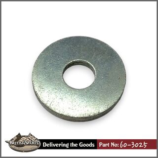 60-3025 Washer