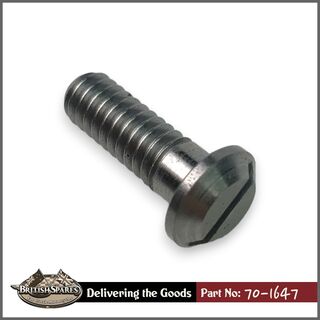 70-1647 Screw