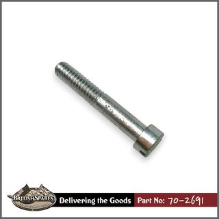 70-2691 Screw