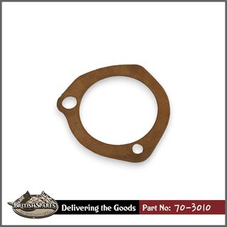 70-3010 Gasket