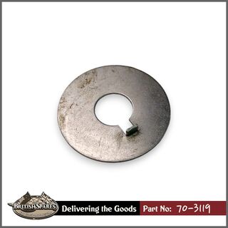 70-3119 Tab Washer
