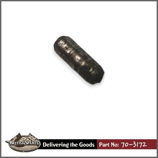 70-3172 Peg