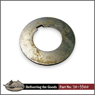 70-3300 Washer