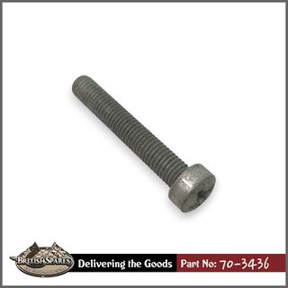 70-3436 Screw