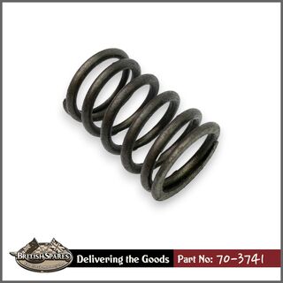 70-3741 Valve Spring