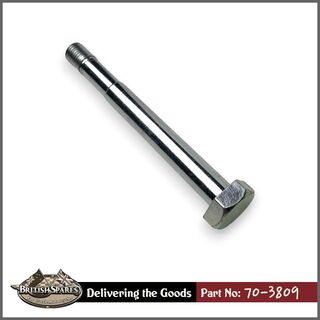 70-3809 Bolt