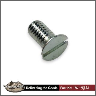70-3821 Screw