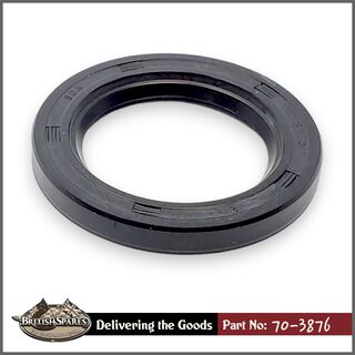 70-3876 Seal