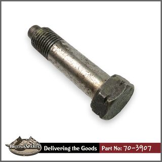 70-3907 Bolt