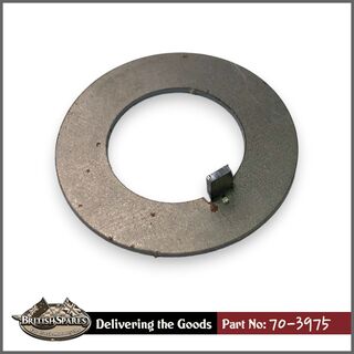70-3975 Lock Washer