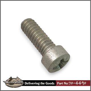 70-4490 Screw