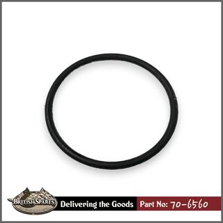 70-6560 O-Ring