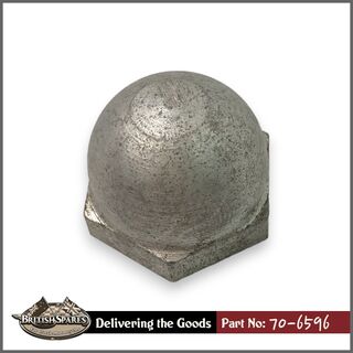 70-6596 Cap