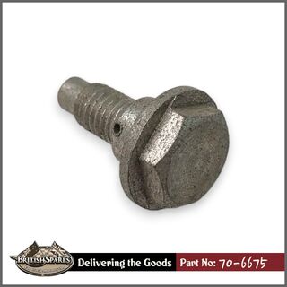 70-6675 Banjo Bolt