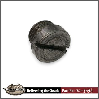 70-8036 Plug