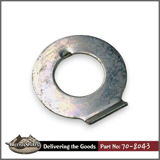 70-8043 Lock Washer