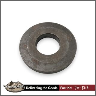 70-8113 Cup