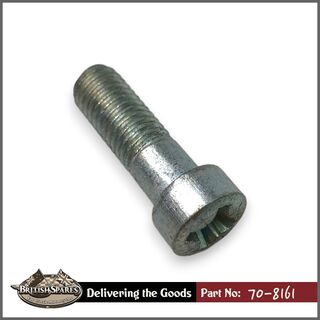 70-8161 Screw