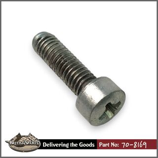 70-8169 Screw