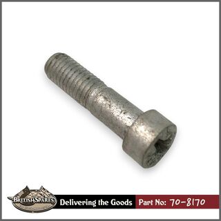 70-8170 Screw