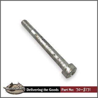 70-8171 Screw