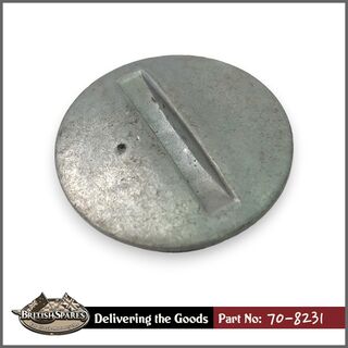 70-8231 Cap